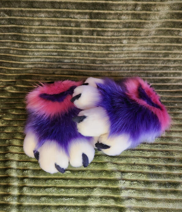 Succubus paws