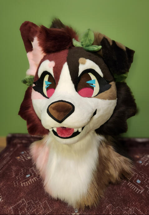 Most recent suit (5th) Chocolate strawberry pup